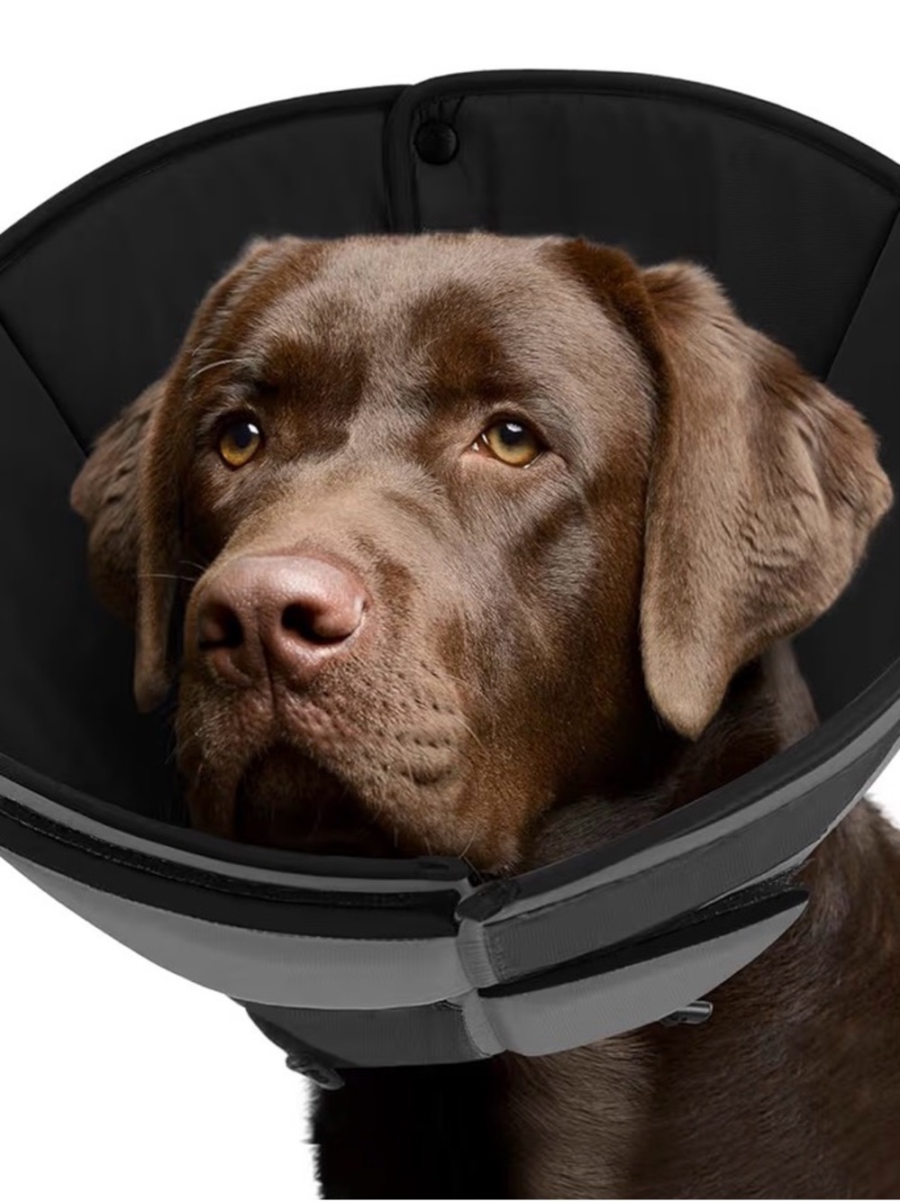 ComfortFit Black Dog Recovery Cone - Protective XL Cone